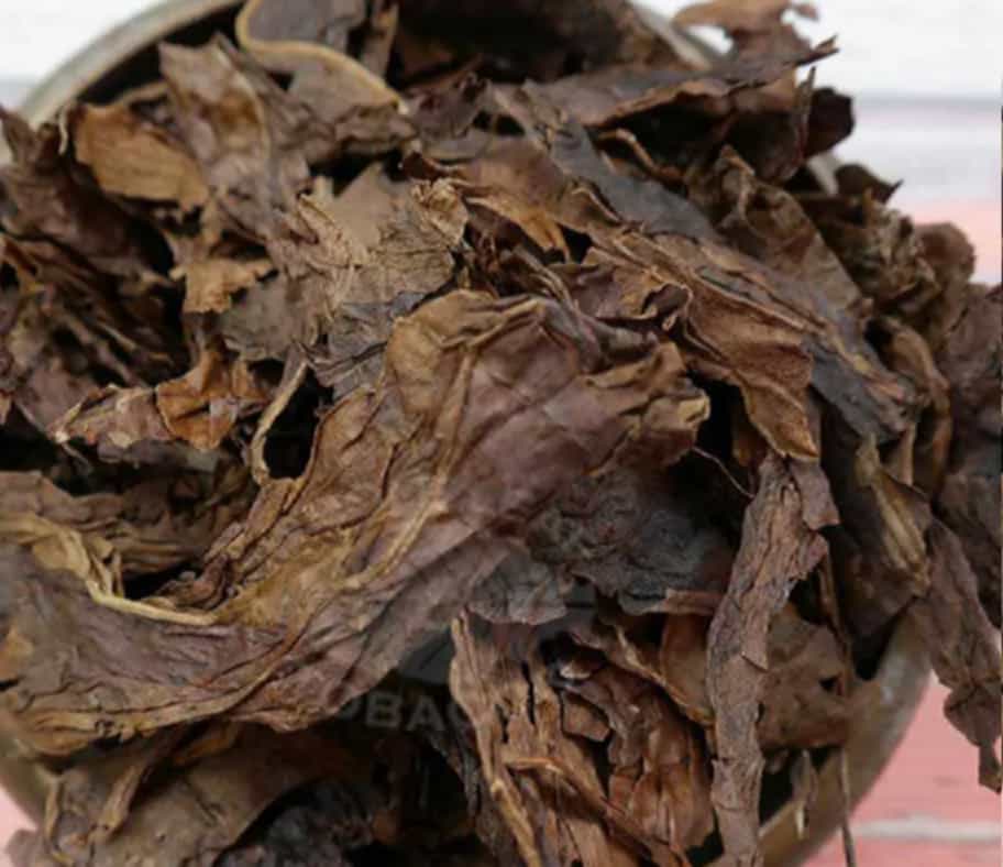 Close-up of fire-cured tobacco leaf